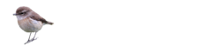 Tec-Tec.NET